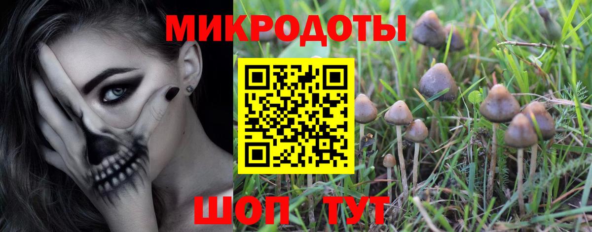 Нижневартовск  Псилоцибиновые грибы Psilocybe  Галлюциногенные грибы Psilocybe  Вход с VPN 